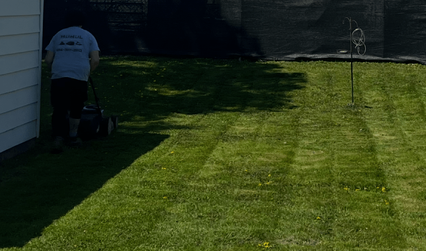Lawn Mowing