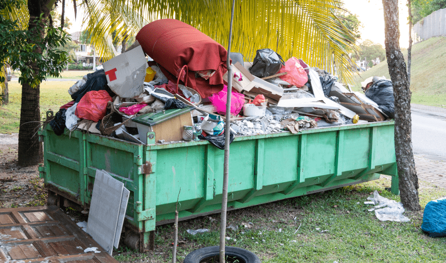 Yard Cleanup